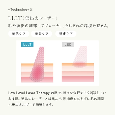ステラボーテ リフトブラシPROLLLT