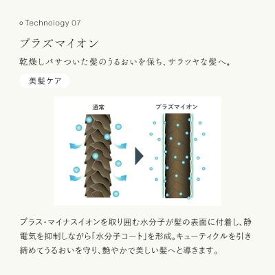 ステラボーテリフトブラシPROプラズマイオン